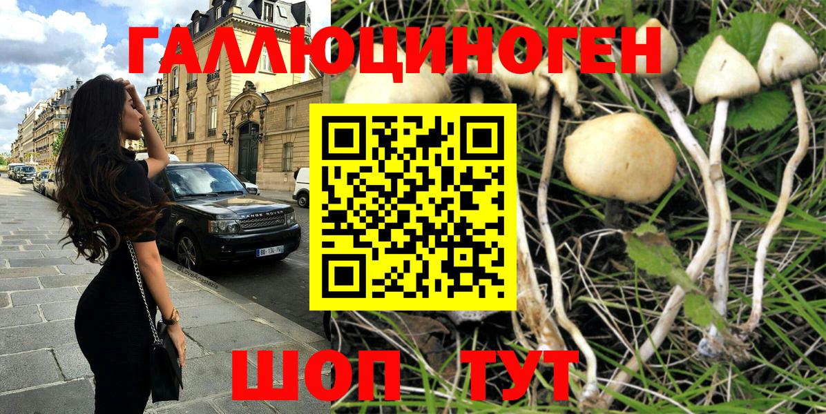 Муравленко  Псилоцибиновые грибы прущие грибы  Вход с VPN 